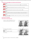 HURLIMANN xf80 tradition compact Tractor Service Repair Manual