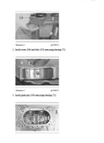 Caterpillar Cat 320D2 L Excavator (Prefix YEA) Service Repair Manual (YEA00001 and up)