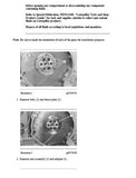 Caterpillar Cat 641B WHEEL TRACTOR (Prefix 65K) Service Repair Manual (65K00985 and up)
