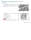 Lamborghini (r3 evo tier 3) r3 evo 85 Tractor Service Repair Manual (Serial Number: 20001 and up)