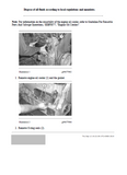 Caterpillar Cat EL240B EXCAVATOR (Prefix 5WG) Service Repair Manual (5WG00001 and up)