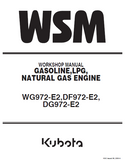 Kubota DF972-E2 Natural Gas Engine Service Repair Manual