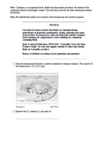 Caterpillar Cat 938G WHEEL LOADER (Prefix 8RS) Service Repair Manual (8RS00001-00610)
