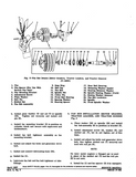 FiatAllis 150C Motor Grader Service Repair Manual