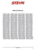 STEYR F4DFE4131 Tier 4B (final) Engine Service Repair Manual