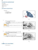 Lamborghini r6.150 t4i hi-profile Tractor Service Repair Manual