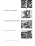 Lamborghini rekord 60 Tractor Service Repair Manual (SN: l10s523wte1001 and up)