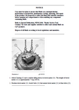 Caterpillar Cat 336D L Excavator (Prefix LMG) Service Repair Manual (LMG00001 and up)
