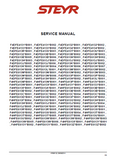 STEYR F4HFE613F Tier 4B (final) Engine Service Repair Manual
