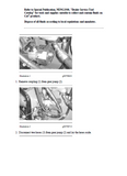 Caterpillar Cat 740 GC ARTICULATED TRUCK (Prefix 3T8) Service Repair Manual (3T800001 and up)