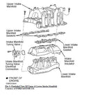 1997 FORD F150 Service Repair Manual