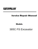 Caterpillar Cat 385C FS Excavator (Prefix EAM) Service Repair Manual (EAM00001 and up)