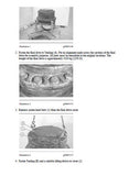 Caterpillar Cat 385B Excavator (Prefix FDL) Service Repair Manual (FDL00001 and up)