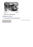 Caterpillar Cat 305.5E2 CR Mini Hydraulic Excavator (Prefix NC5) Service Repair Manual (NC500001 and up)
