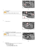 Lamborghini (r6 vrt tier 4i) r6.210 t4i vrt Tractor Service Repair Manual (SN: wsxv850400ll50010 and up)